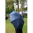 Regenschirm 2